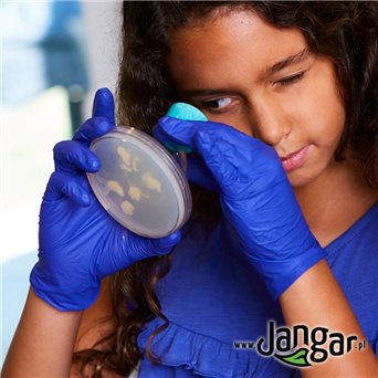 Nancy B's Science Club: Mighty Microbes Lab