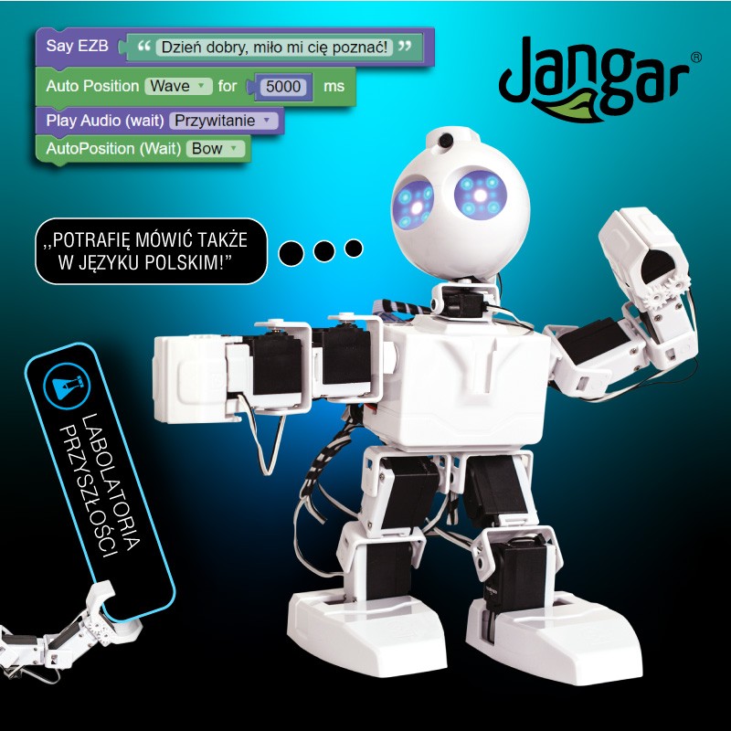 JD Humanoid Robot - jangar.pl