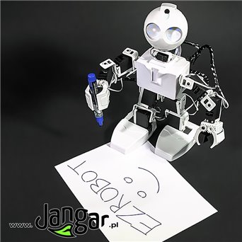 JD Humanoid Robot