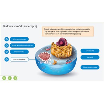Multimedia Subject Laboratories: BIOLOGY - jangar.pl