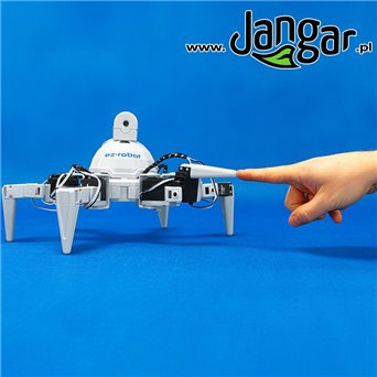 Six Hexapod Robot - jangar.pl