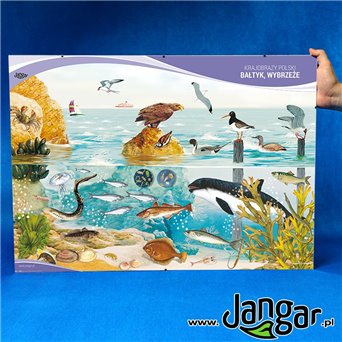 Anti-frame board: Landscapes of Poland - Baltic Sea, coastline, 70x50 cm