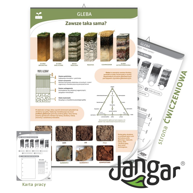 Double-sided board: Soil profiles, soil inhabitants/exercise site, 68x100 cm, laminated
