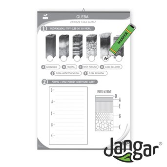 Double-sided board: Soil profiles, soil inhabitants/exercise site, 68x100 cm, laminated