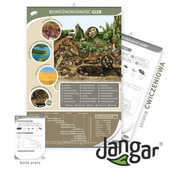 Double-sided board: Soil biodiversity/exercise page, 68x100 cm, laminated