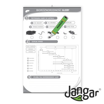 Double-sided board: Soil biodiversity/exercise page, 68x100 cm, laminated