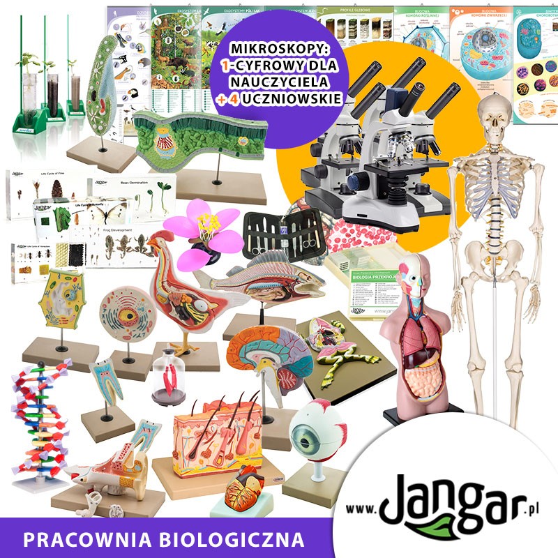 PRACOWNIA BIOLOGICZNA – zestaw wyposażenia podstawowego