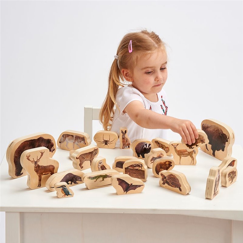 FOREST ANIMALS – a set of 30 wooden figurines