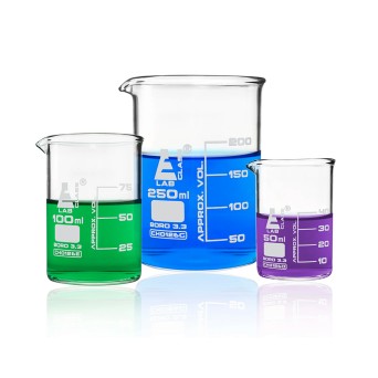 A set in foam: 3 boro beakers (50,100,250 ml)