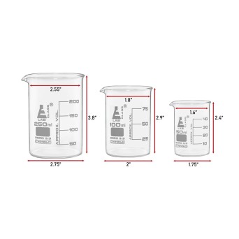 A set in foam: 3 boro beakers (50,100,250 ml)