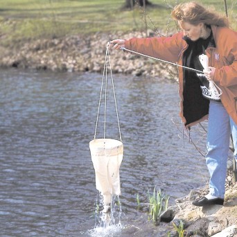 Plankton network, professional (w. 25)