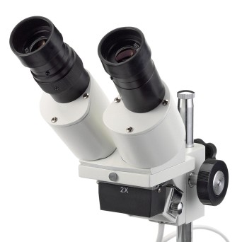 20x stereoscopic microscope, backlit (2 types of light)