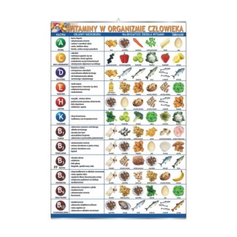 Wall chart: Vitamins in the human body