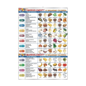 Wall Chart: Micro- and Macro Elements in the Human Body