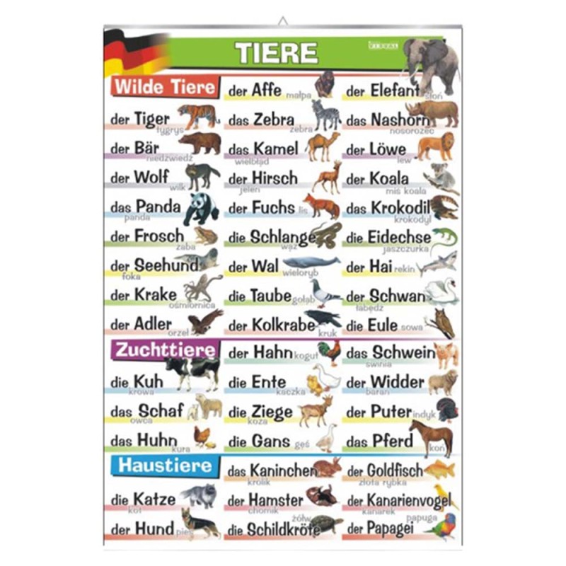 Plansza ścienna: Tiere (j. niemiecki)