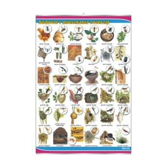 Plansza ścienna: Budowle i mieszkania zwierząt