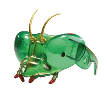 Insect Masks – 2 Different Designs