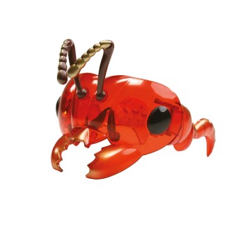 Insect Masks – 2 Different Designs