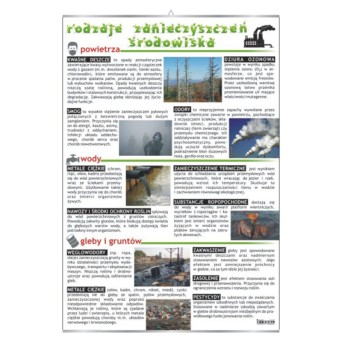 Wall Chart: Types of Environmental Pollution