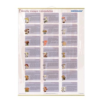 Wallboard: Poisonous and inedible mushrooms