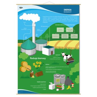 Wall Chart: Renewable Energy Sources - Biomass Energy, Types, and Biomass Power Plant Construction (90x130 cm)