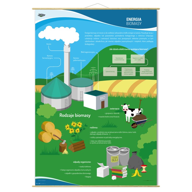 Plansza ścienna: OZE - Energia biomasy, rodzaje, budowa elektrowni 90x130 cm