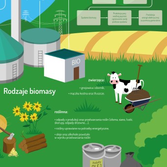 Plansza ścienna: OZE - Energia biomasy, rodzaje, budowa elektrowni 90x130 cm