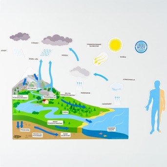 Water circulation in nature, magnetic on the board