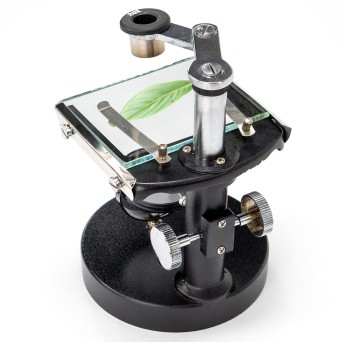 Microscopic viewer for preparations and preparations