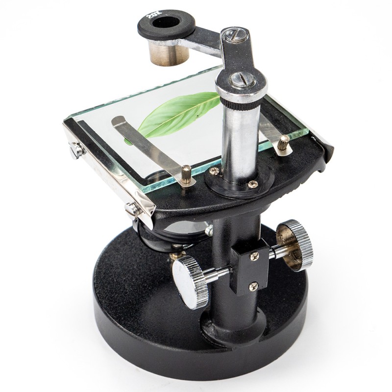 Microscopic viewer for preparations and preparations