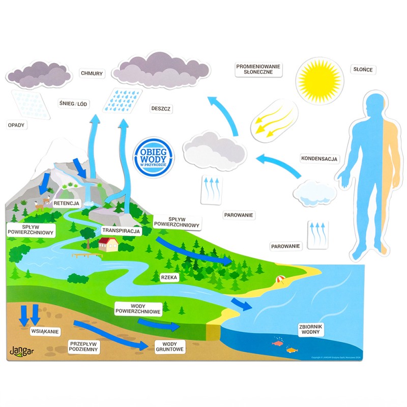 Water circulation in nature, magnetic on the board