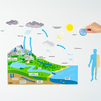 Water circulation in nature, magnetic on the board