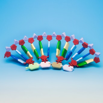 RNA model / protein biosynthesis - large