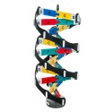 DNA model with labelled bases