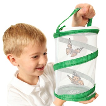 Foldable Mesh Insect Container
