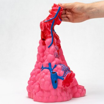 Alveoli lung model