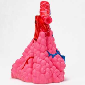 Alveoli lung model