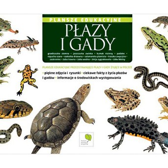 Plansze edukacyjne, kpl. 13: Płazy i gady