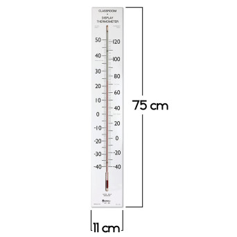 Demonstration class thermometer (75 cm)