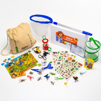 EXPLORERS BOX: Insects and Arachnids