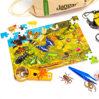 EXPLORERS BOX: Insects and Arachnids