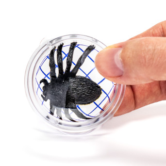 Box with magnifying glass and measuring tape for observation of specimens