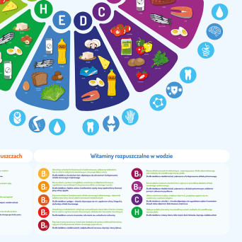 Wall board: Vitamins, 90x130 cm, laminated, with bars