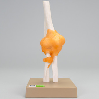 Pond model, movable - elbow