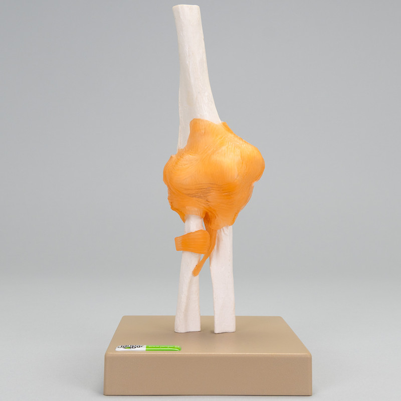 Pond model, movable - elbow