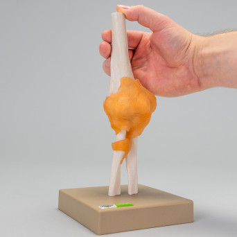 Pond model, movable - elbow