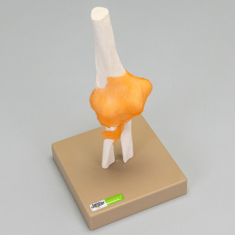 Pond model, movable - elbow