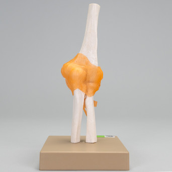 Pond model, movable - elbow