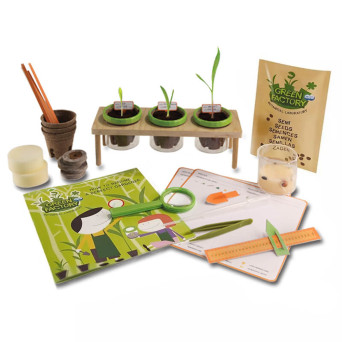 Young Gardener's Green Factory