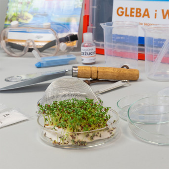 Soil: influence of environmental conditions on soil and plant development